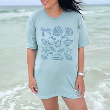 Shells Coquette