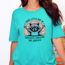 Little Ray of Sarcastic Graphic Tee - Sunshine Styles Boutique