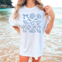 Shells Coquette