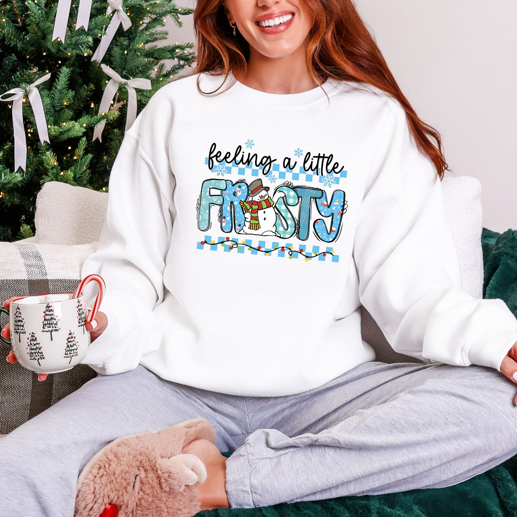 Feeling a Little Frosty Blue Sweatshirt