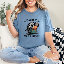 It Is What It Is Raccoon Graphic Tee - Sunshine Styles Boutique