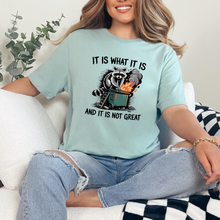 It Is What It Is Raccoon Graphic Tee - Sunshine Styles Boutique